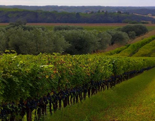 Cabinet CLOS JURIS